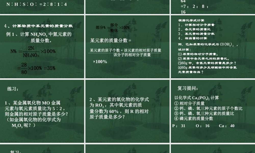 化学式的有关计算九年级化学课件 新课标 人教版 课件