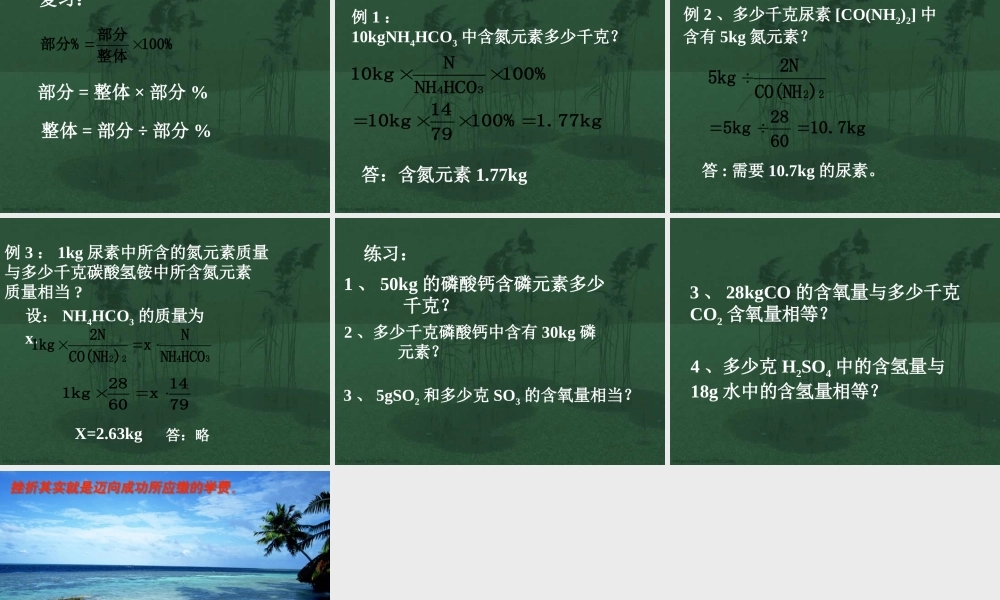 化学式的有关计算九年级化学课件 新课标 人教版 课件