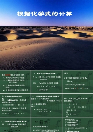 化学式的有关计算九年级化学课件 新课标 人教版 课件