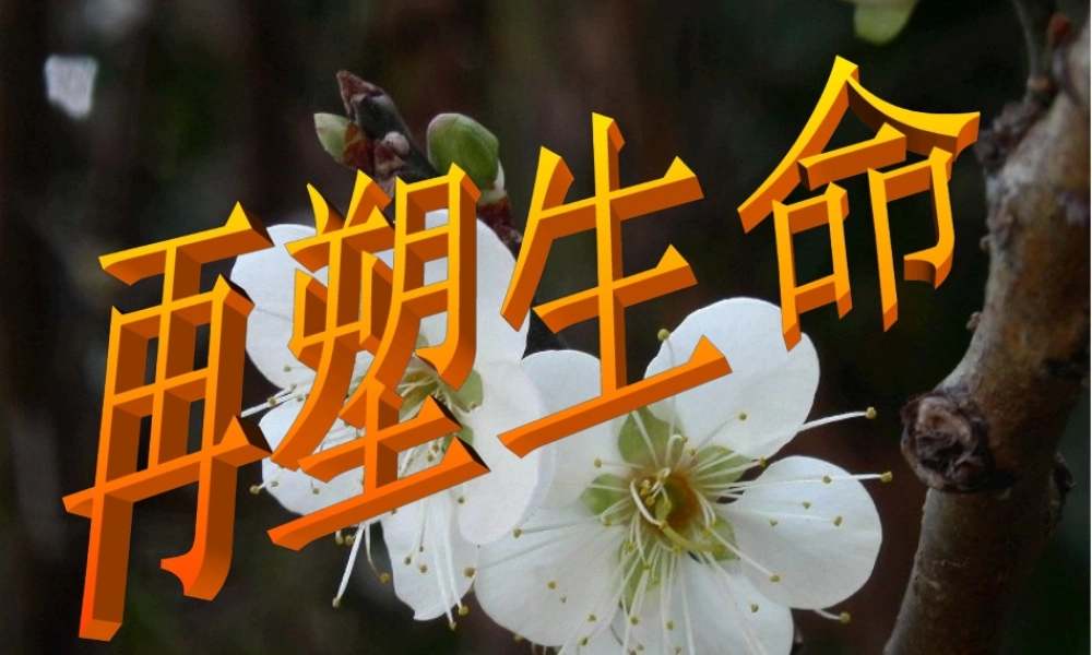 八年级语文下册 5 再塑生命课件 新人教版 课件