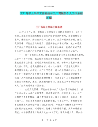 工厂马年上半年工作总结与工厂驾驶员个人工作总结汇编