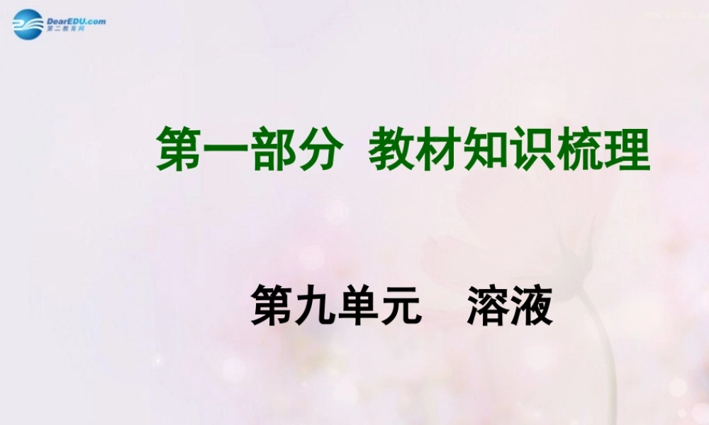 中考化学总复习 第九单元 溶液课件