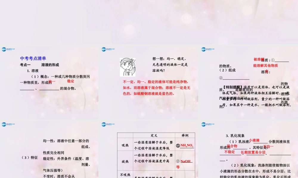 中考化学总复习 第九单元 溶液课件