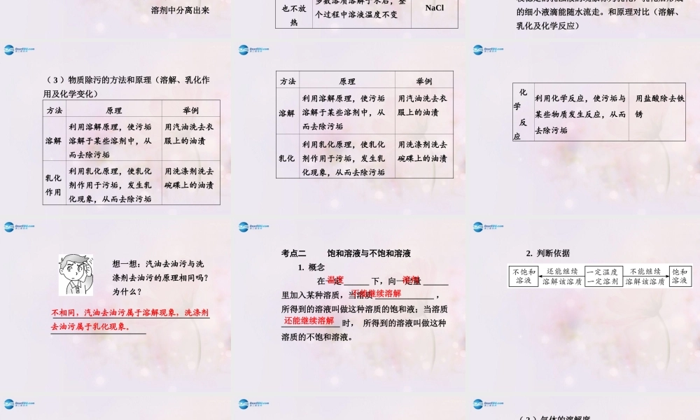 中考化学总复习 第九单元 溶液课件