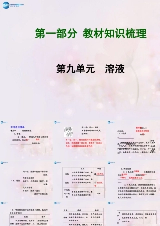 中考化学总复习 第九单元 溶液课件