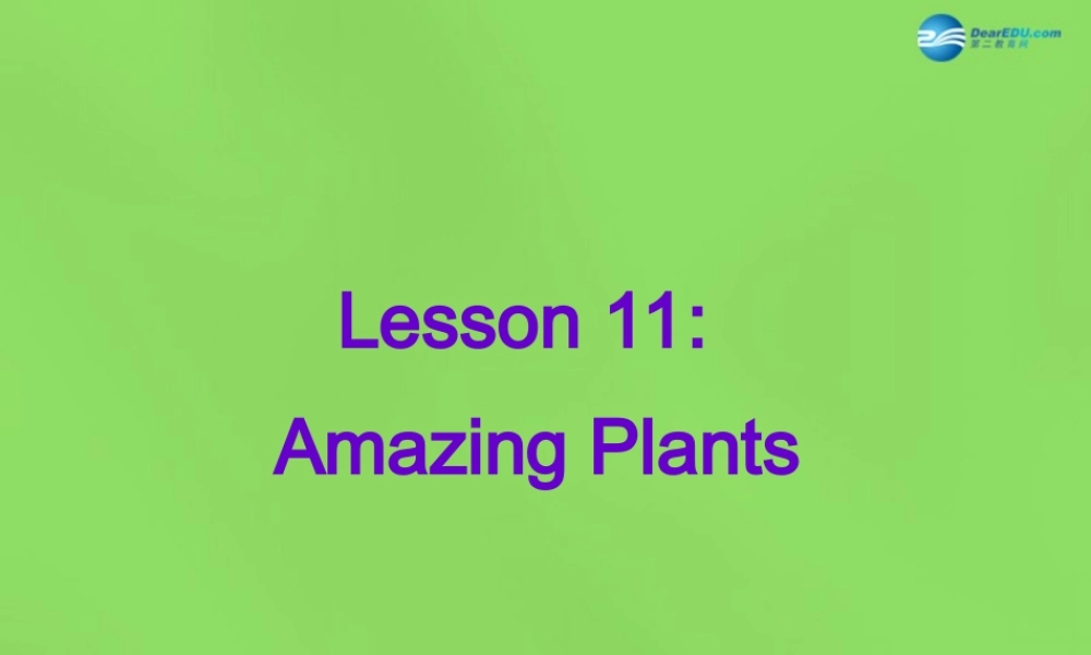 八年级英语下册 Unit 2 lesson 11 Amazing Plants课件 (新版)冀教版 课件