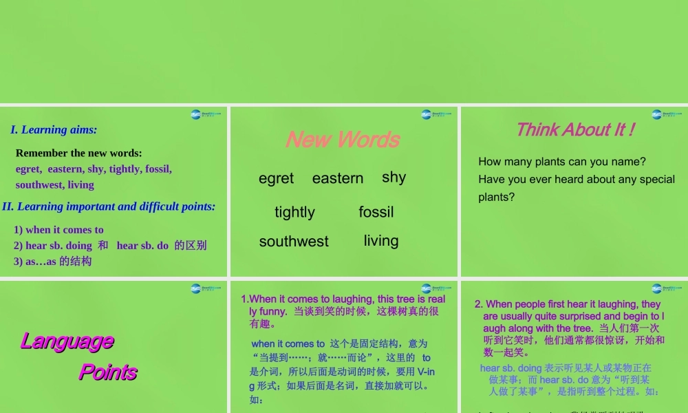 八年级英语下册 Unit 2 lesson 11 Amazing Plants课件 (新版)冀教版 课件