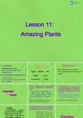 八年级英语下册 Unit 2 lesson 11 Amazing Plants课件 (新版)冀教版 课件