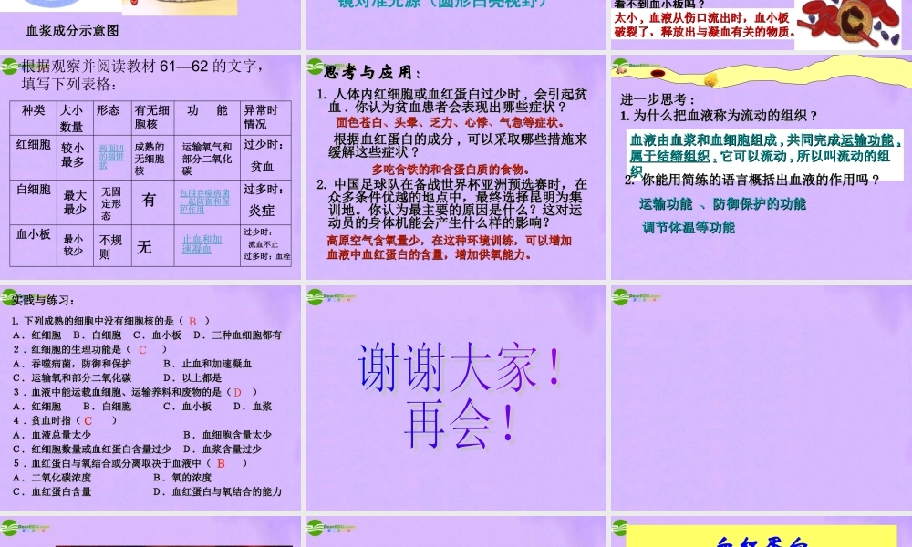 七年级生物下册 第四单元第四章第一节流动的组织血液部件 人教新课标版 课件