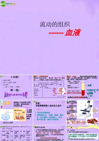 七年级生物下册 第四单元第四章第一节流动的组织血液部件 人教新课标版 课件
