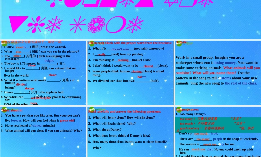 九年级英语下册 Unit2 DNA Lesson 13 Clones Are the Same 课件 冀教版 课件