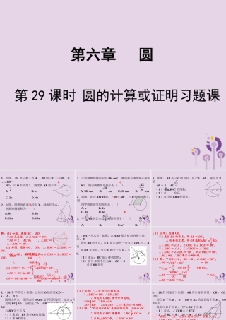 春中考数学复习 第6章 圆 第29课时 圆的计算或证明习题课课件