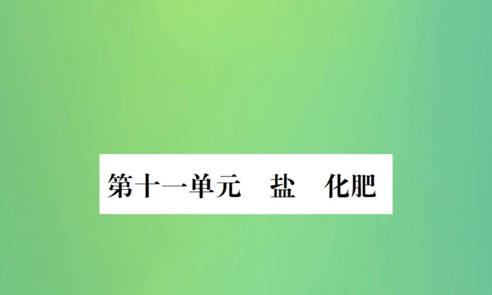 中考化学总复习 教材考点梳理 第11单元 盐 化肥课件