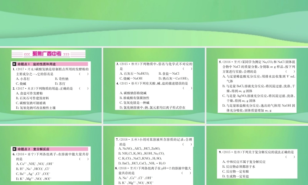 中考化学总复习 教材考点梳理 第11单元 盐 化肥课件