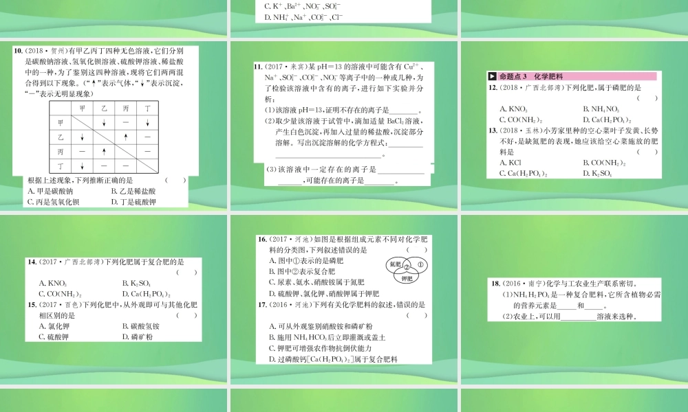中考化学总复习 教材考点梳理 第11单元 盐 化肥课件