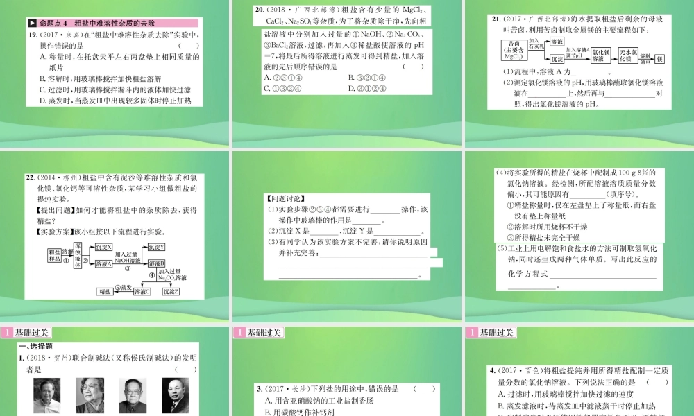 中考化学总复习 教材考点梳理 第11单元 盐 化肥课件