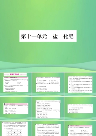 中考化学总复习 教材考点梳理 第11单元 盐 化肥课件