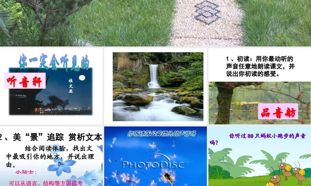 八年级语文你一定会听见课件 新课标 人教版 课件