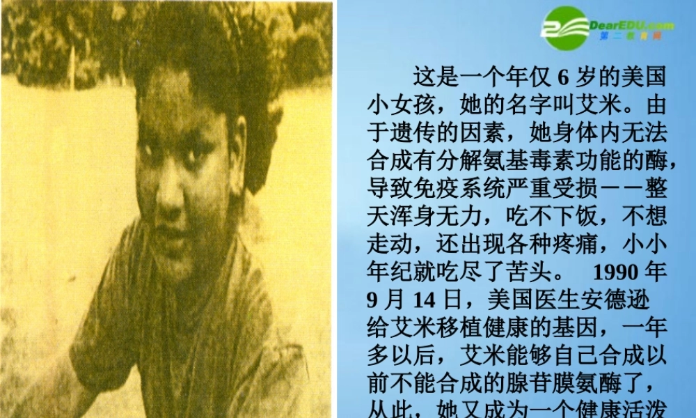 八年级生物下册 第七单元第二章第一节基因工程课件 济南版 课件