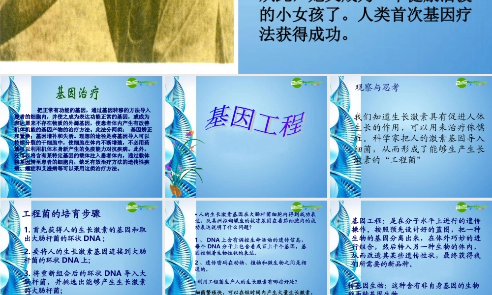八年级生物下册 第七单元第二章第一节基因工程课件 济南版 课件