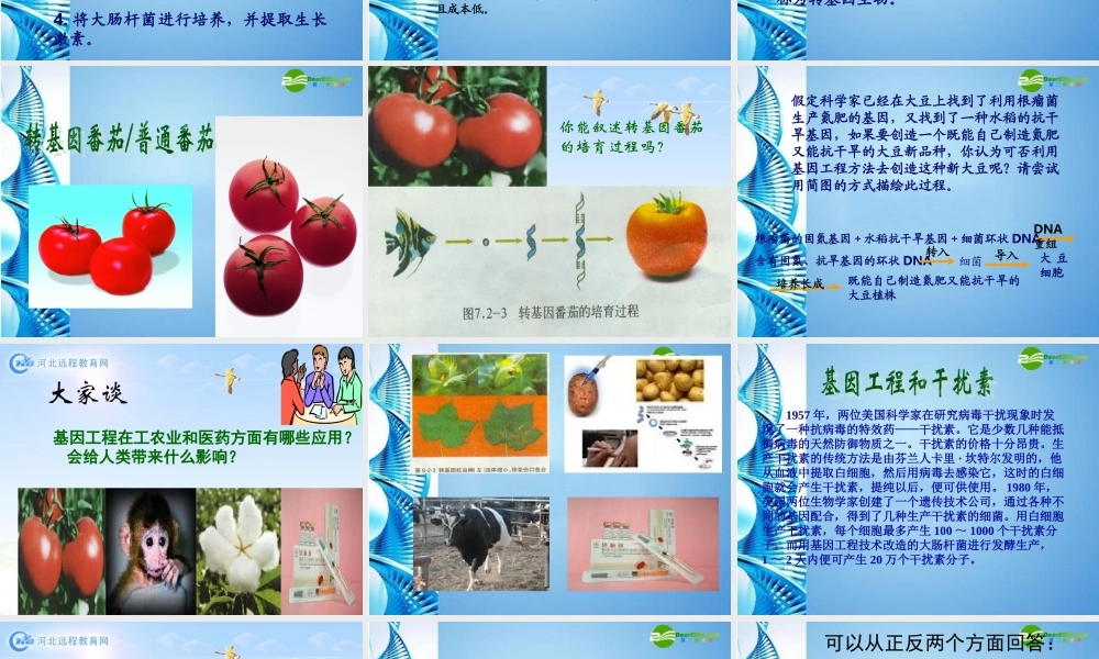 八年级生物下册 第七单元第二章第一节基因工程课件 济南版 课件