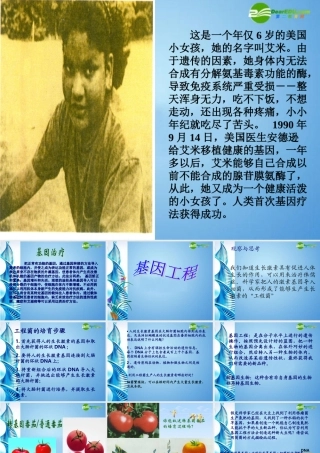 八年级生物下册 第七单元第二章第一节基因工程课件 济南版 课件