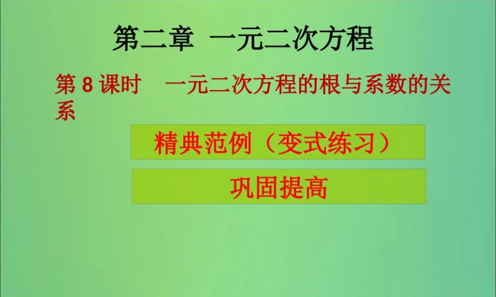 九年级数学上册 第2章 一元二次方程 第8课时 一元二次方程的根与系数的关系(课堂导练)习题课件 (新版)北师大版 课件