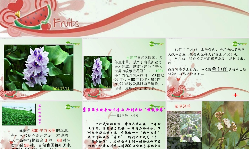 八年级数学上册 第四单元第19课(生物入侵者)课件 人教新课标版 课件