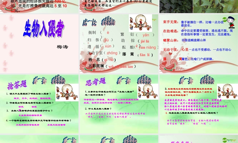 八年级数学上册 第四单元第19课(生物入侵者)课件 人教新课标版 课件