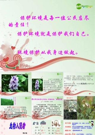 八年级数学上册 第四单元第19课(生物入侵者)课件 人教新课标版 课件