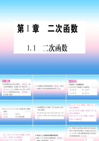 九年级数学下册 第1章 二次函数 11 二次函数作业课件 (新版)湘教版 课件