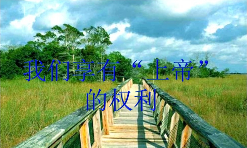 八年级政治下(我们享有上帝的权利)课件人教版 课件