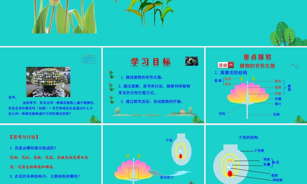 八年级生物下册 7.1.1 植物的生殖课件 八年级生物下册 7.1.1 植物的生殖课件+素材(新版)新人教版 八年级生物下册 7.1.1 植物的生殖课件+素材(新版)新人教版-2