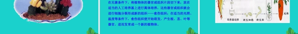 八年级生物下册 7.1.1 植物的生殖课件 八年级生物下册 7.1.1 植物的生殖课件+素材(新版)新人教版 八年级生物下册 7.1.1 植物的生殖课件+素材(新版)新人教版-2