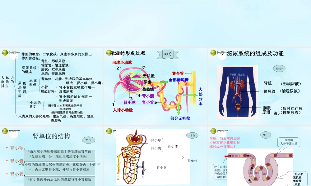 中学七年级生物下册 人体内废物的排出复习课件 新人教版 课件