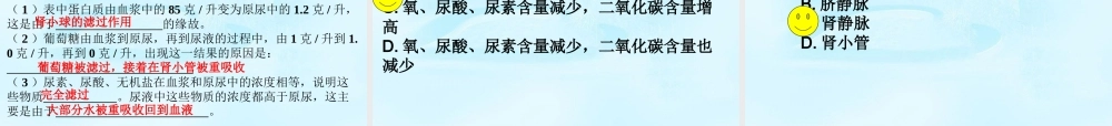 中学七年级生物下册 人体内废物的排出复习课件 新人教版 课件