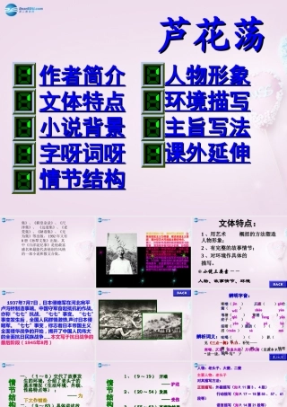 初中部八年级语文上册(第2课 芦花荡)课件6 新人教版 课件