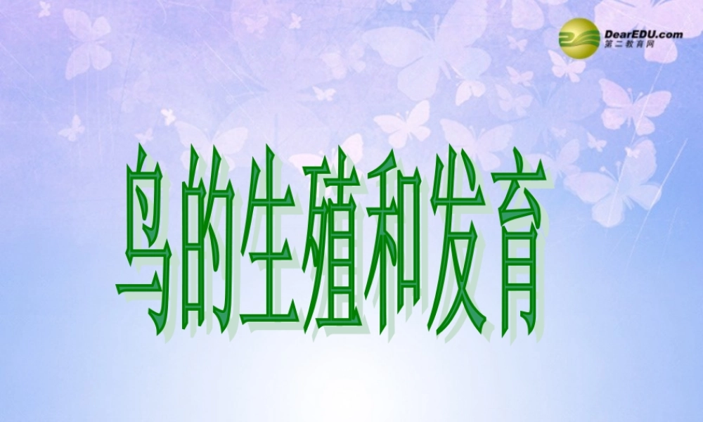 八年级生物上册 鸟的生殖和发育课件 济南版 课件