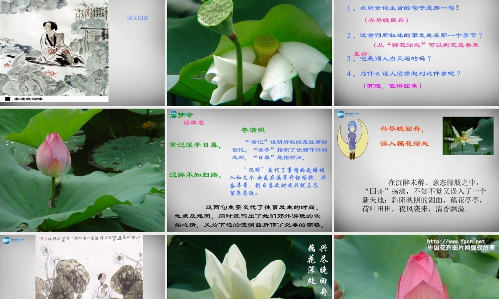 中学七年级语文上册(课外古诗词 如梦令)课件 (新版)新人教版 课件