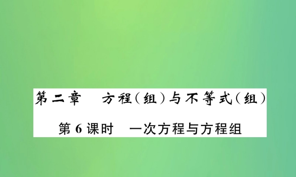 中考数学复习 第2章 方程(组)与不等式(组)第6课时 一次方程与方程组(精讲)课件