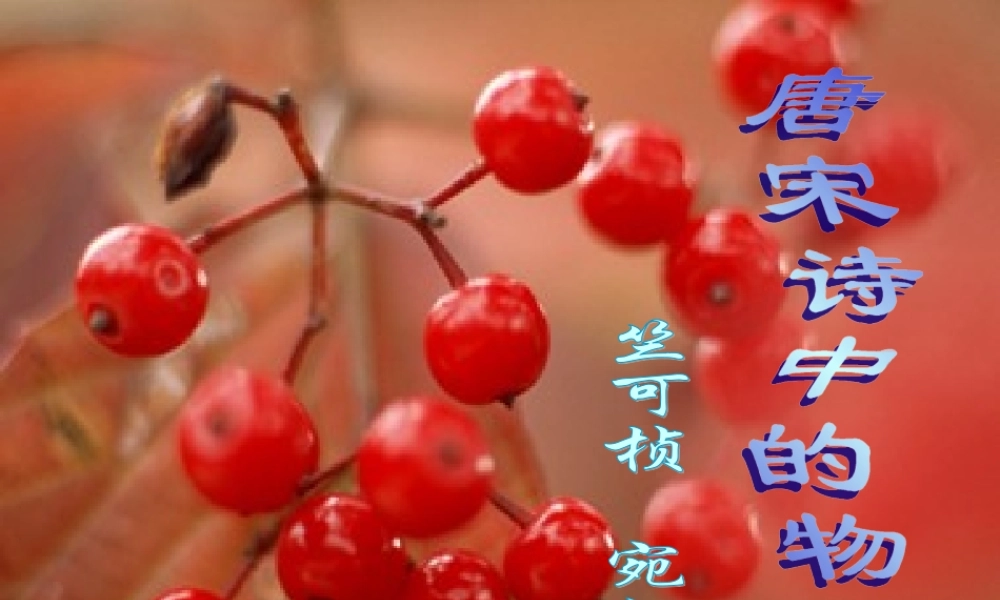 七年级语文下册 第9课(唐宋诗中的物候)课件 鄂教版 课件