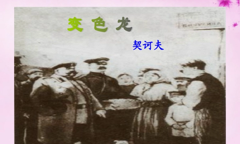 九年级语文下册 7(变色龙)课件 新人教版 课件