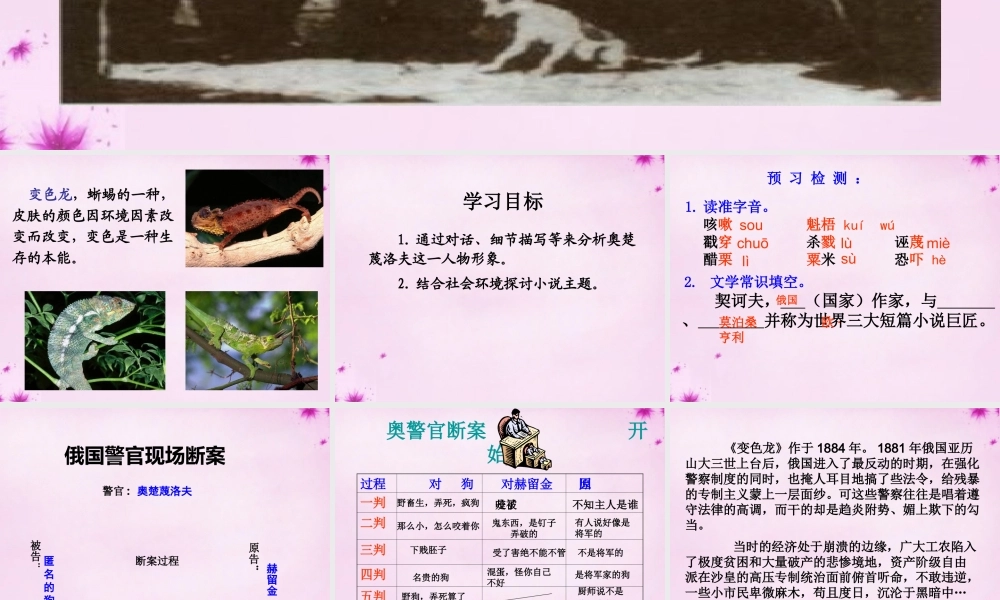 九年级语文下册 7(变色龙)课件 新人教版 课件