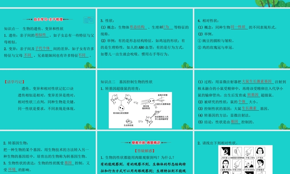 八年级生物下册 7.2.1基因控制生物的性状习题课件(新版)新人教版 课件