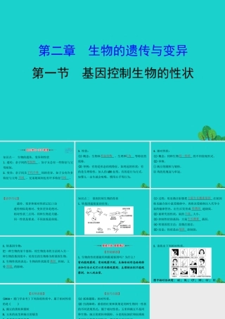 八年级生物下册 7.2.1基因控制生物的性状习题课件(新版)新人教版 课件