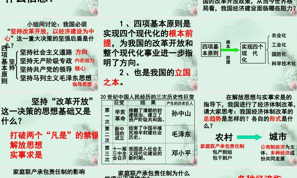 中考历史专题复习(四)社会主义制度下经济建设的新成就课件 新人教版 课件