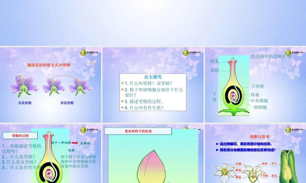 八年级生物上册 第二节 传粉和受精课件1 济南版 课件