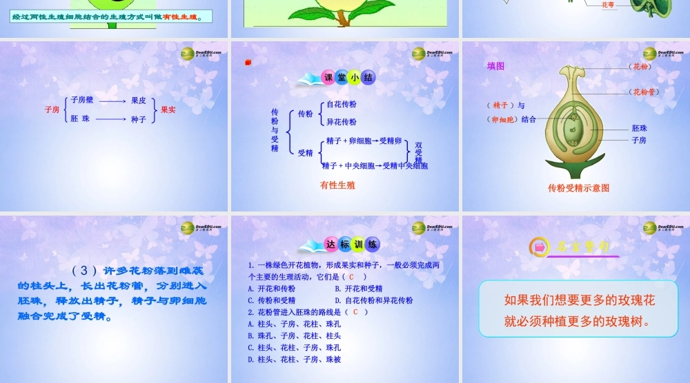 八年级生物上册 第二节 传粉和受精课件1 济南版 课件