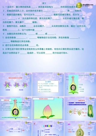 八年级生物上册 第二节 传粉和受精课件1 济南版 课件