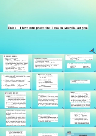 九年级英语上册 Module 10 Australia Unit 1 I have some photos that I took in Australia last year习题课件 (新版)外研版 课件